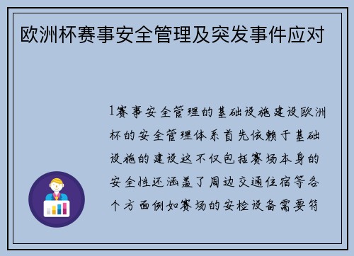 欧洲杯赛事安全管理及突发事件应对